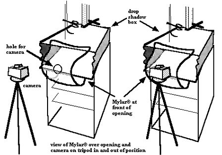 Reflective Objects Photography