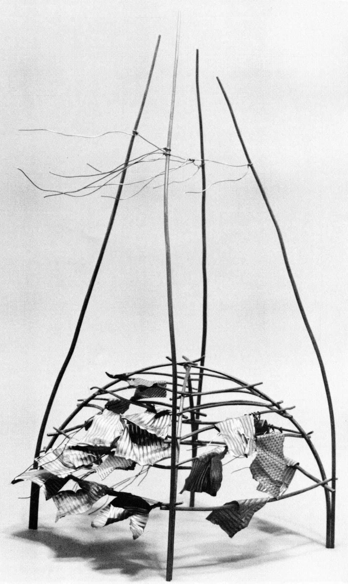 Martha Glowacki & Fields of Reference