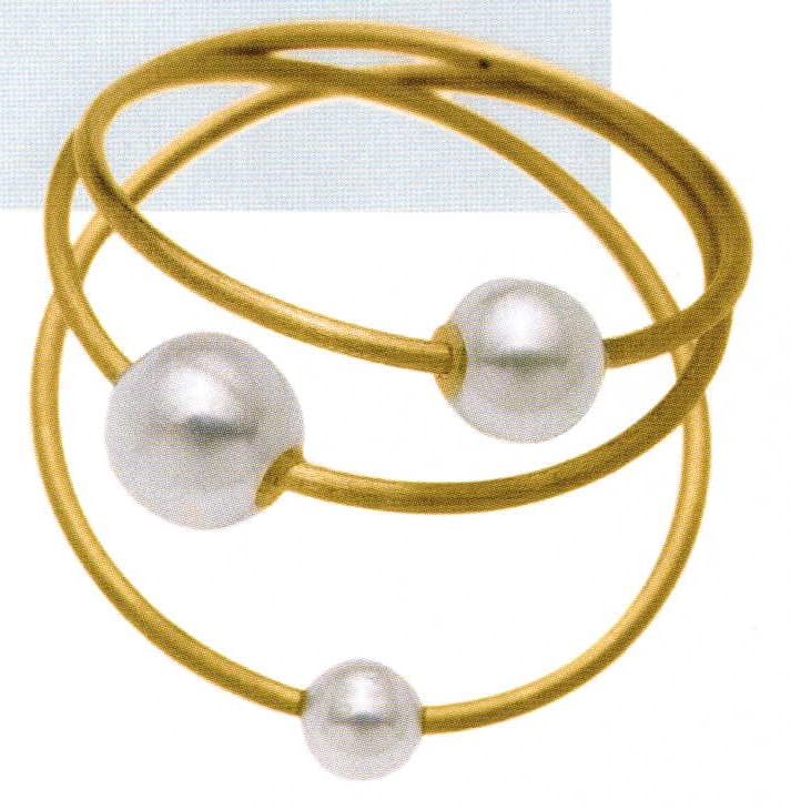 Polytechnic College: a Source of Diversity and Innovation